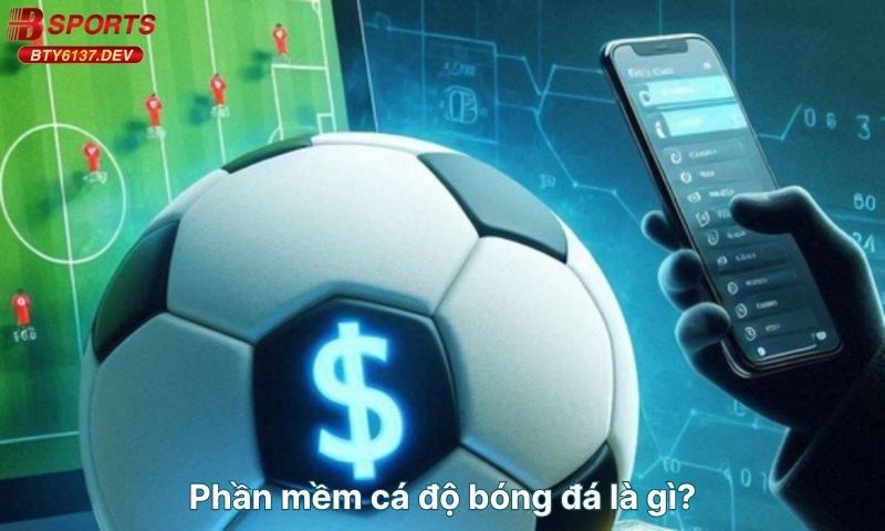 phan-mem-ca-do-bong-da-la-gi