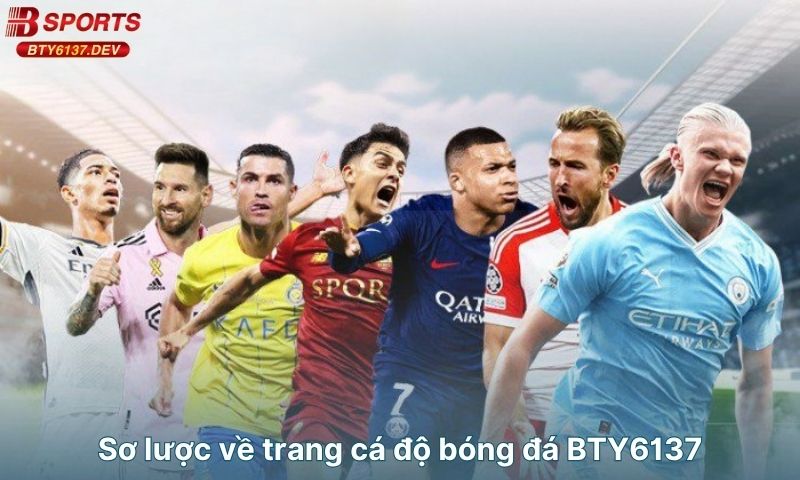 so-luoc-ve-trang-ca-do-bong-da-bty6137