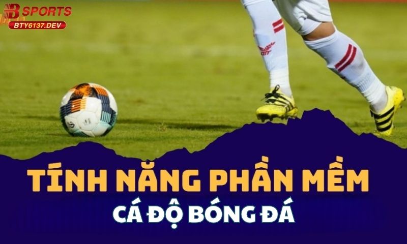 tinh-nang-phan-mem-ca-do-bong-da